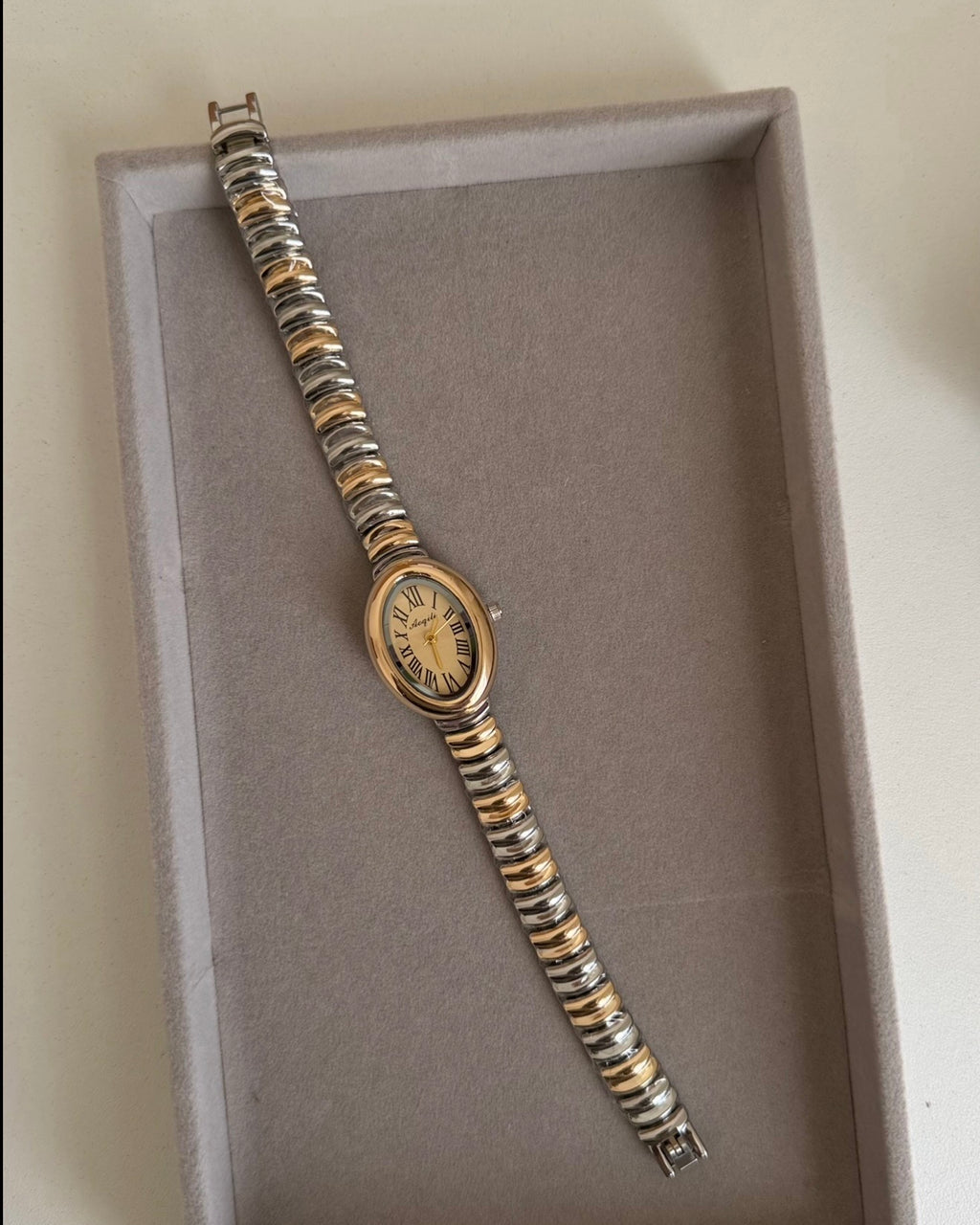 Budget Luxe Oval Watch