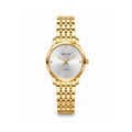 Aurora Link Watch